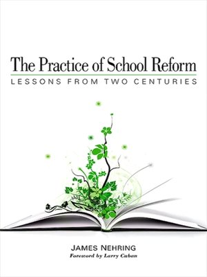 cover image of The Practice of School Reform